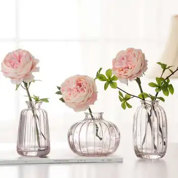 Home Decor Vaza De Sticla Acasă Mici Hidroponice De Plante Sticlă Living Decor Flori Uscate Decor Transparent Vaza De Flori 