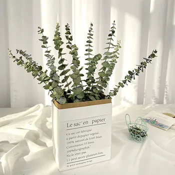 DIY Naturale Reale Frunze de Eucalipt Uscate de Flori de Nunta Decora Eucalipt Tulpini pentru Acasă Ornamente Decor Verde de Plante 