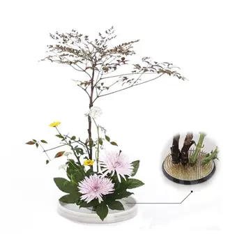 4 dimensiuni Introduce Bază Ishizaki Kenzans Pin Art Fixe Instrumente Rotunde Japoneză Suport pentru Flori Arta Fix Instrumente Aranjament de Flori 