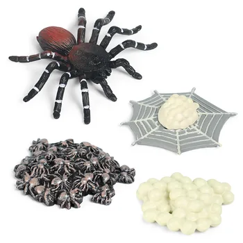 Jucărie nouă Figuri de Animale Ciclu de Creștere Modelul Spider Cifrele de Acțiune PVC de Învățământ Cunoaștere Copil Minunat Jucarii Copii, Cadouri de Craciun 