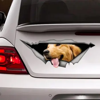 Golden Retriever Masina Decal, Câine de Companie Amuzant Laptop Cool si Creativ