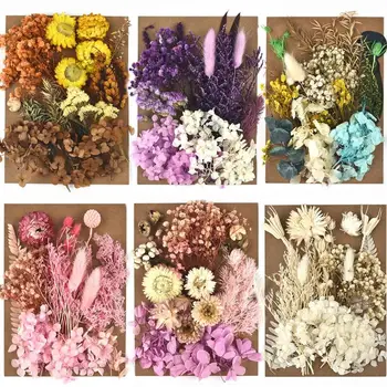 NOI DIY Real de Flori Uscate de Rășină Mucegai Umpluturi UV podeaua epoxidica netezita de Flori Pentru Rășină Epoxidică Forme de Luare de Bijuterii de Artizanat DIY Accesorii 