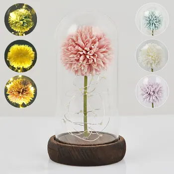 Artificiale Floare Păpădie În Cupolă de Sticlă cu Lumină LED de Păpădie, Flori de Trandafir Valentine Ziua Mamei Nunta Cadouri de Craciun