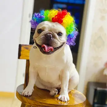 Cosplay Câine Peruca Costum Deghizarea De Moda Peruci Pentru Caini Pisici Amuzante De Halloween, Costum De Craciun Animale De Companie Accesorii Câine Bulldog Francez 